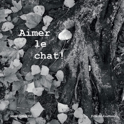 Aimer le chat!
