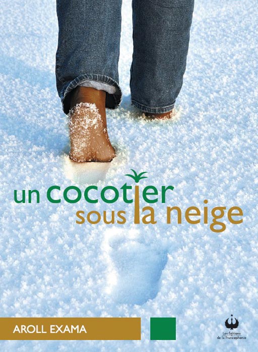 Un cocotier sous la neige