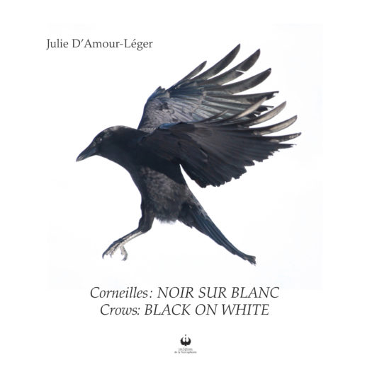 Corneilles : Noir sur blanc  Crows : Black on white